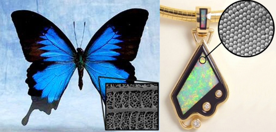 A butterfly's wing and an opal, microscopic structure shown in inset.